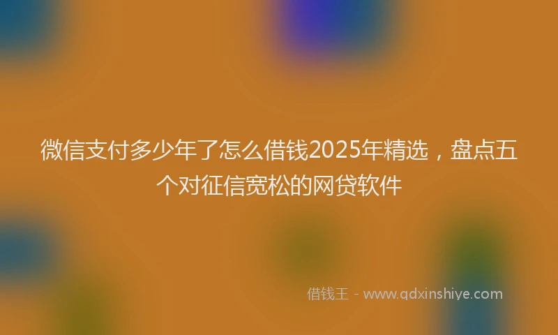 微信支付多少年了怎么借钱2025年精选，盘点五个对征信宽松的网贷软件