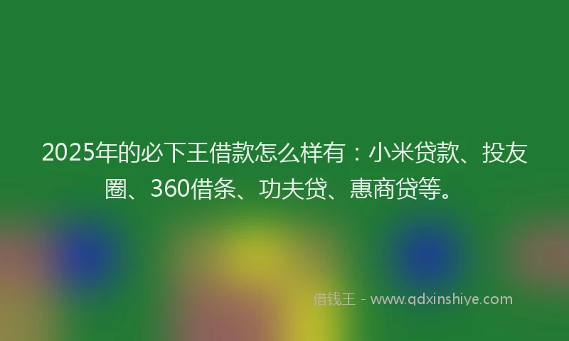 2025年的必下王借款怎么样有：小米贷款、投友圈、360借条、功夫贷、惠商贷等。