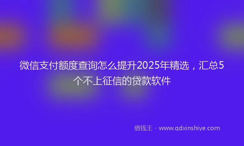 微信支付额度查询怎么提升2025年精选，汇总5个不上征信的贷款软件