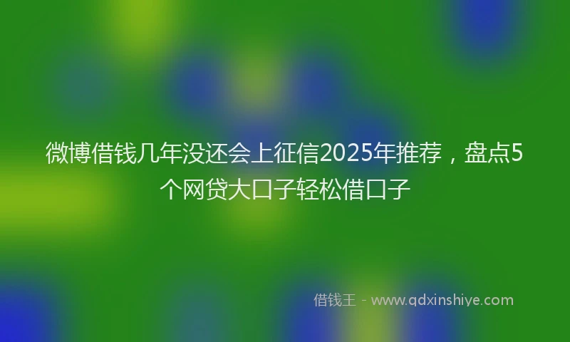 微博借钱几年没还会上征信2025年推荐，盘点5个网贷大口子轻松借口子