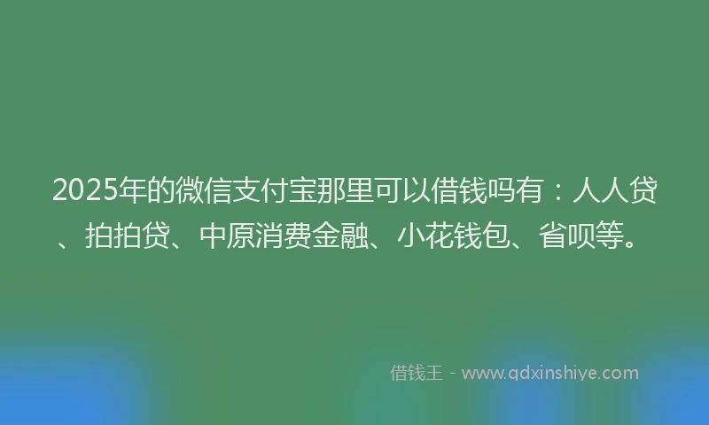 2025年的微信支付宝那里可以借钱吗有：人人贷、拍拍贷、中原消费金融、小花钱包、省呗等。