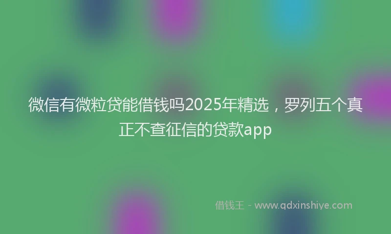 微信有微粒贷能借钱吗2025年精选，罗列五个真正不查征信的贷款app