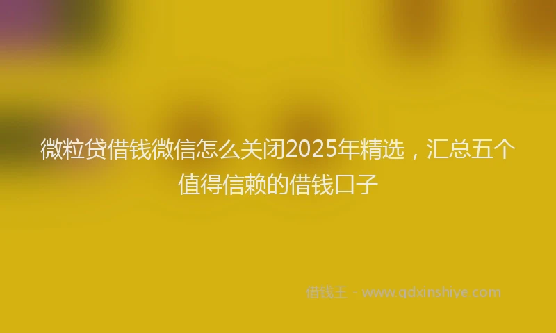 微粒贷借钱微信怎么关闭2025年精选，汇总五个值得信赖的借钱口子