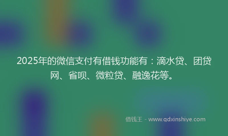 2025年的微信支付有借钱功能有：滴水贷、团贷网、省呗、微粒贷、融逸花等。