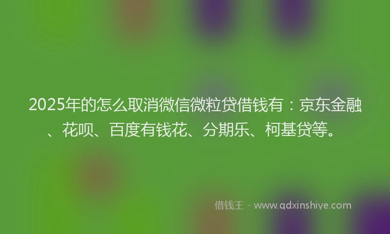 2025年的怎么取消微信微粒贷借钱有：京东金融、花呗、百度有钱花、分期乐、柯基贷等。