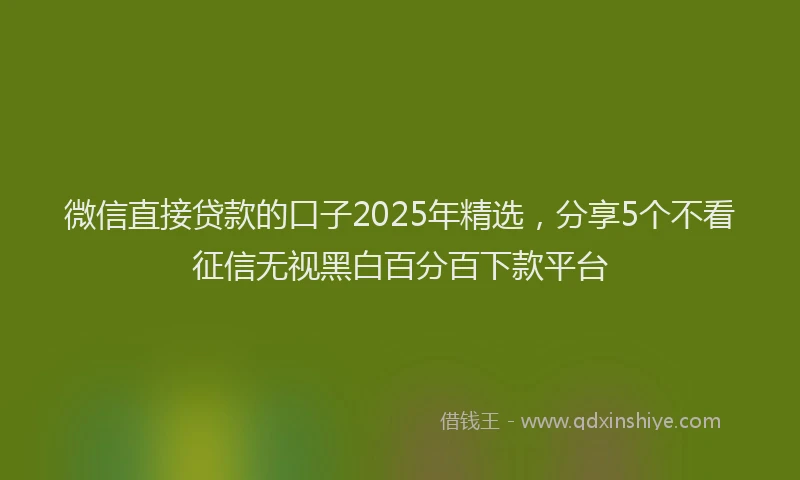 微信直接贷款的口子2025年精选，分享5个不看征信无视黑白百分百下款平台