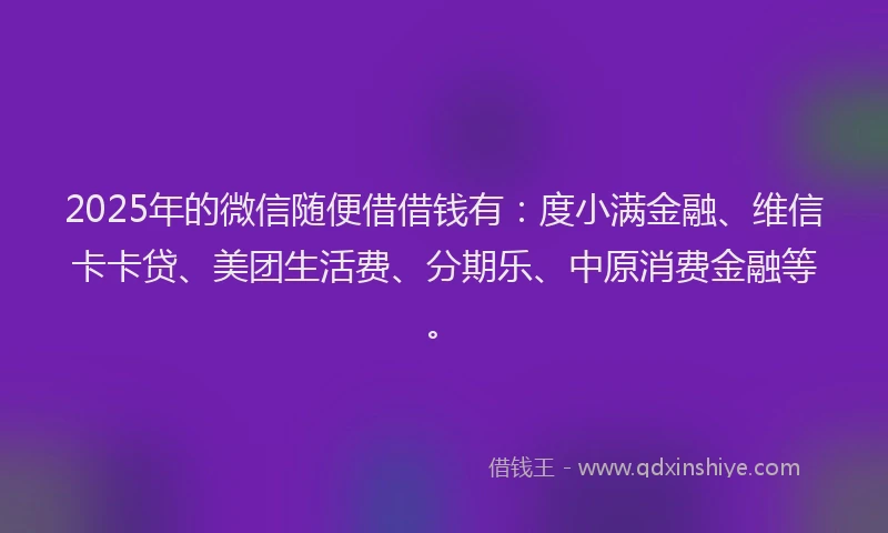 2025年的微信随便借借钱有：度小满金融、维信卡卡贷、美团生活费、分期乐、中原消费金融等。