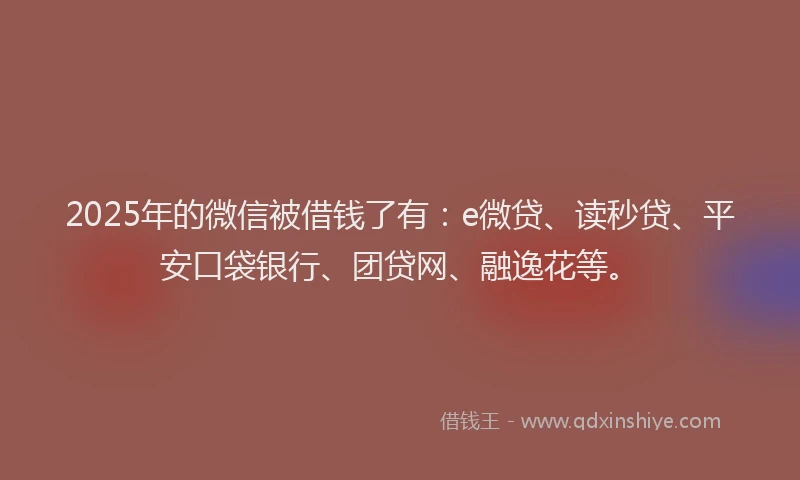 2025年的微信被借钱了有：e微贷、读秒贷、平安口袋银行、团贷网、融逸花等。