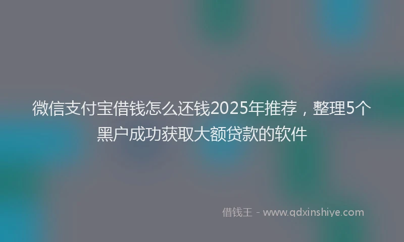 微信支付宝借钱怎么还钱2025年推荐，整理5个黑户成功获取大额贷款的软件