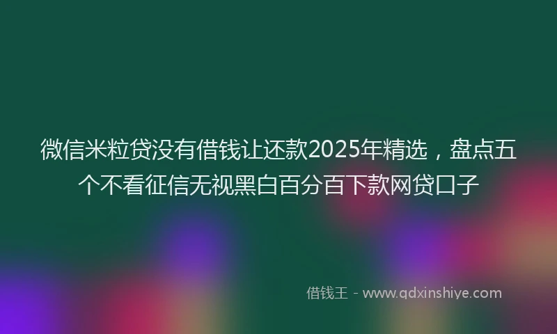 微信米粒贷没有借钱让还款2025年精选，盘点五个不看征信无视黑白百分百下款网贷口子