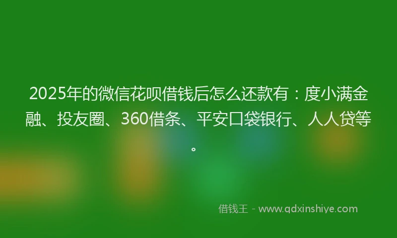 2025年的微信花呗借钱后怎么还款有：度小满金融、投友圈、360借条、平安口袋银行、人人贷等。
