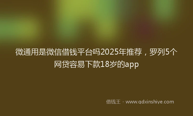 微通用是微信借钱平台吗2025年推荐，罗列5个网贷容易下款18岁的app