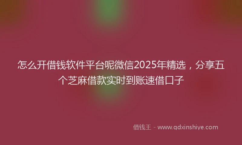 怎么开借钱软件平台呢微信2025年精选，分享五个芝麻借款实时到账速借口子