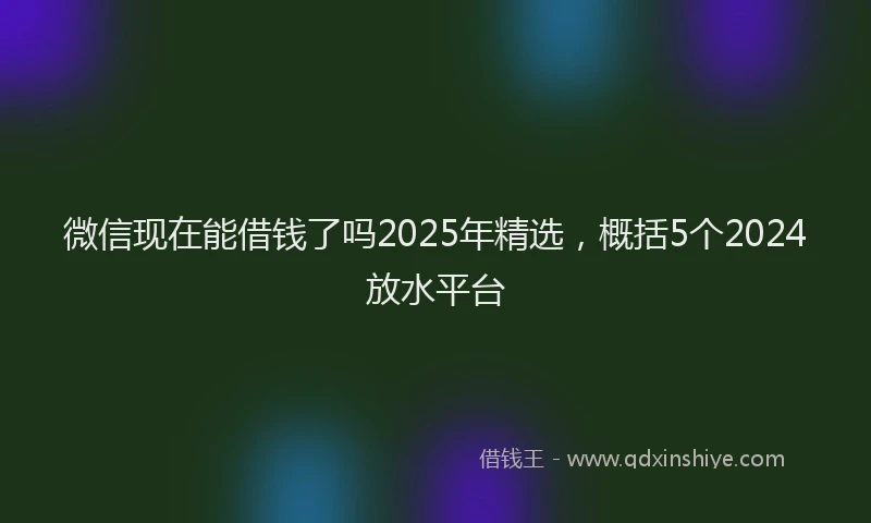 微信现在能借钱了吗2025年精选，概括5个2024放水平台