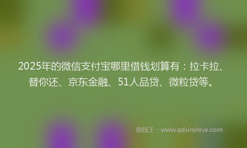 2025年的微信支付宝哪里借钱划算有：拉卡拉、替你还、京东金融、51人品贷、微粒贷等。