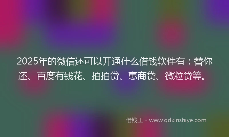 2025年的微信还可以开通什么借钱软件有：替你还、百度有钱花、拍拍贷、惠商贷、微粒贷等。