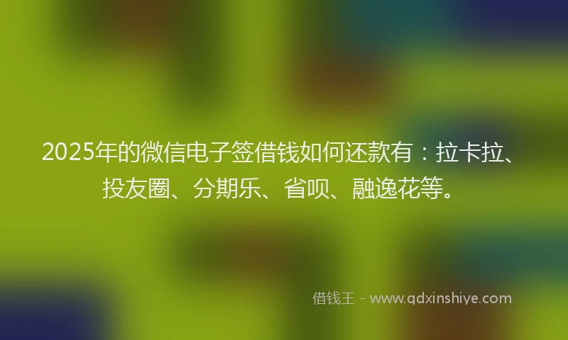 2025年的微信电子签借钱如何还款有：拉卡拉、投友圈、分期乐、省呗、融逸花等。