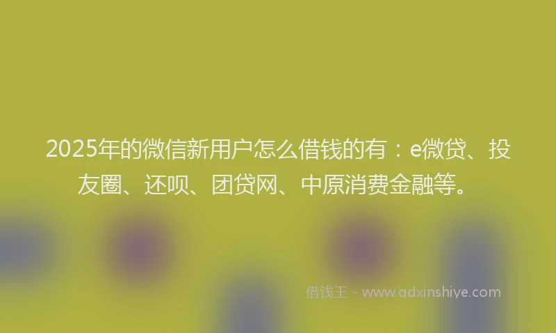 2025年的微信新用户怎么借钱的有：e微贷、投友圈、还呗、团贷网、中原消费金融等。