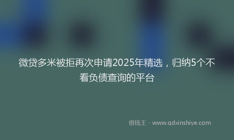 微贷多米被拒再次申请2025年精选，归纳5个不看负债查询的平台