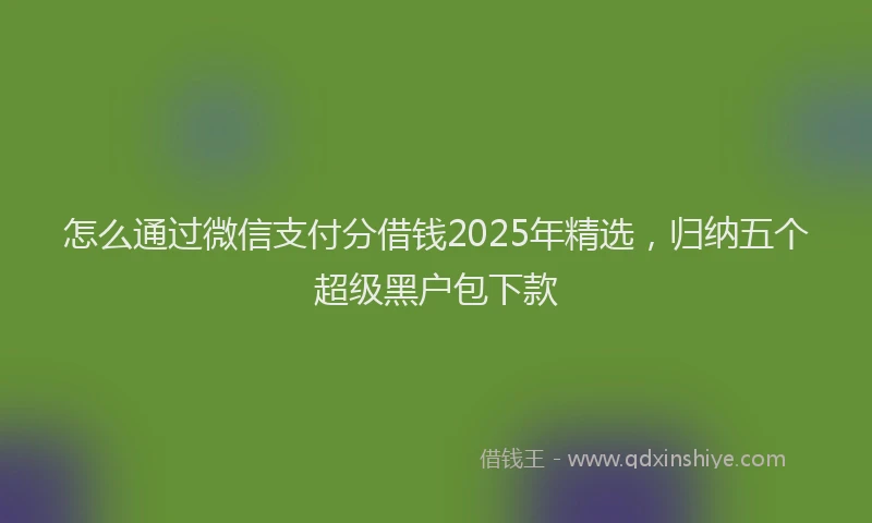 怎么通过微信支付分借钱2025年精选，归纳五个超级黑户包下款