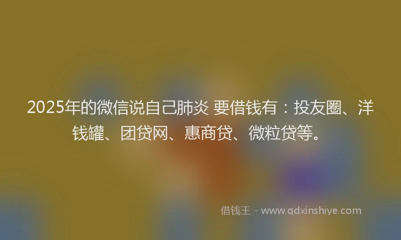 2025年的微信说自己肺炎 要借钱有：投友圈、洋钱罐、团贷网、惠商贷、微粒贷等。