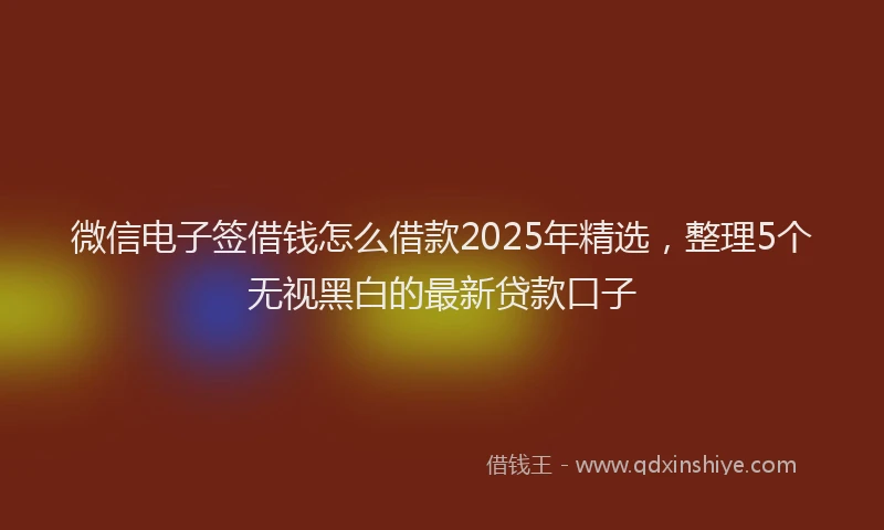 微信电子签借钱怎么借款2025年精选，整理5个无视黑白的最新贷款口子