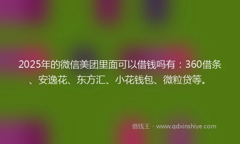 2025年的微信美团里面可以借钱吗有：360借条、安逸花、东方汇、小花钱包、微粒贷等。