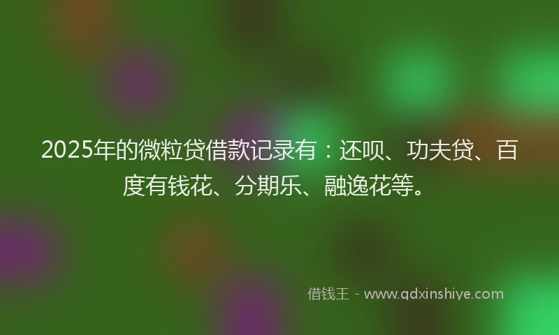 2025年的微粒贷借款记录有:还呗、功夫贷、百度有钱花、分期乐、融逸花等。