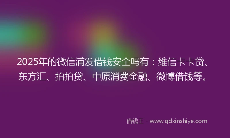 2025年的微信浦发借钱安全吗有：维信卡卡贷、东方汇、拍拍贷、中原消费金融、微博借钱等。