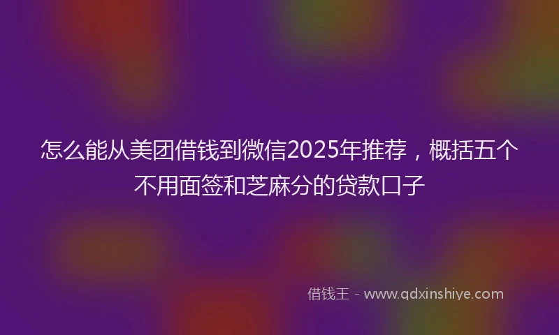 怎么能从美团借钱到微信2025年推荐，概括五个不用面签和芝麻分的贷款口子