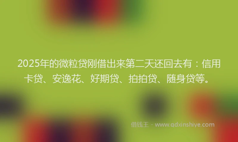 2025年的微粒贷刚借出来第二天还回去有：信用卡贷、安逸花、好期贷、拍拍贷、随身贷等。