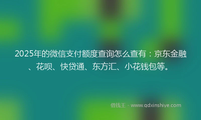 2025年的微信支付额度查询怎么查有：京东金融、花呗、快贷通、东方汇、小花钱包等。