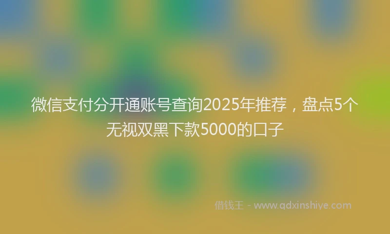 微信支付分开通账号查询2025年推荐，盘点5个无视双黑下款5000的口子