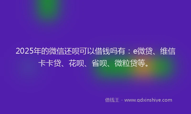 2025年的微信还呗可以借钱吗有：e微贷、维信卡卡贷、花呗、省呗、微粒贷等。