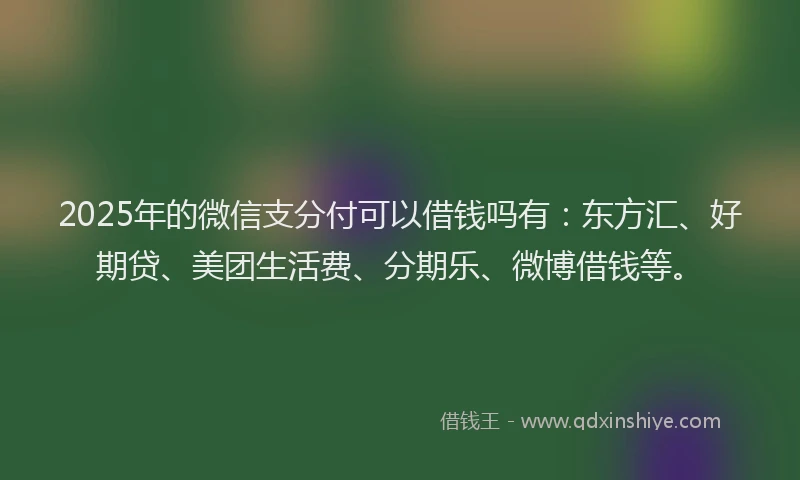 2025年的微信支分付可以借钱吗有：东方汇、好期贷、美团生活费、分期乐、微博借钱等。