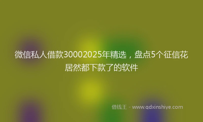 微信私人借款30002025年精选，盘点5个征信花居然都下款了的软件