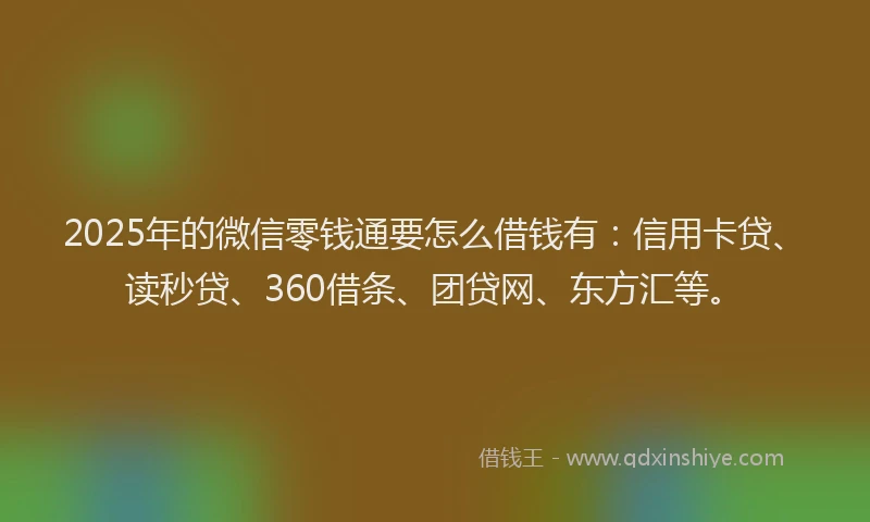 2025年的微信零钱通要怎么借钱有：信用卡贷、读秒贷、360借条、团贷网、东方汇等。