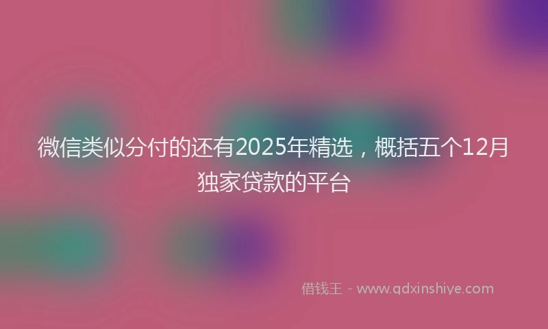 微信类似分付的还有2025年精选，概括五个12月独家贷款的平台
