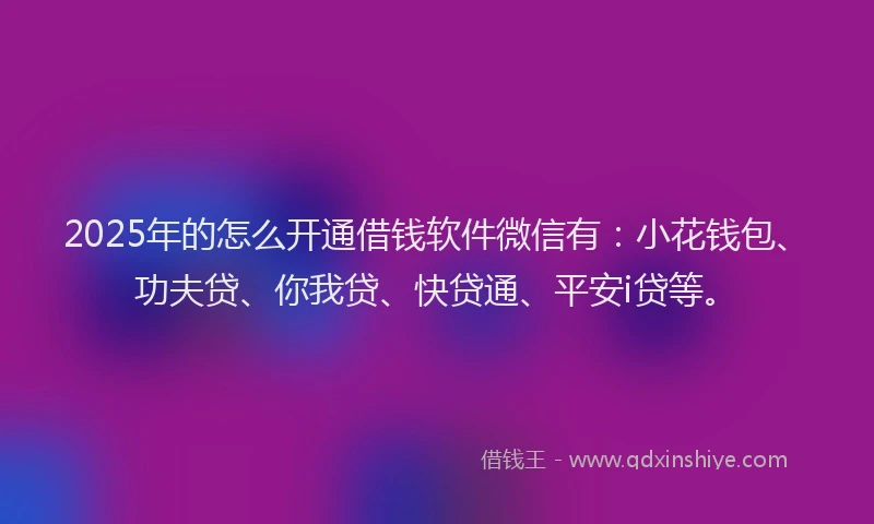 2025年的怎么开通借钱软件微信有：小花钱包、功夫贷、你我贷、快贷通、平安i贷等。