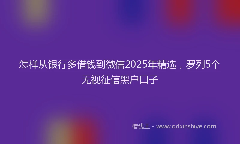 怎样从银行多借钱到微信2025年精选，罗列5个无视征信黑户口子