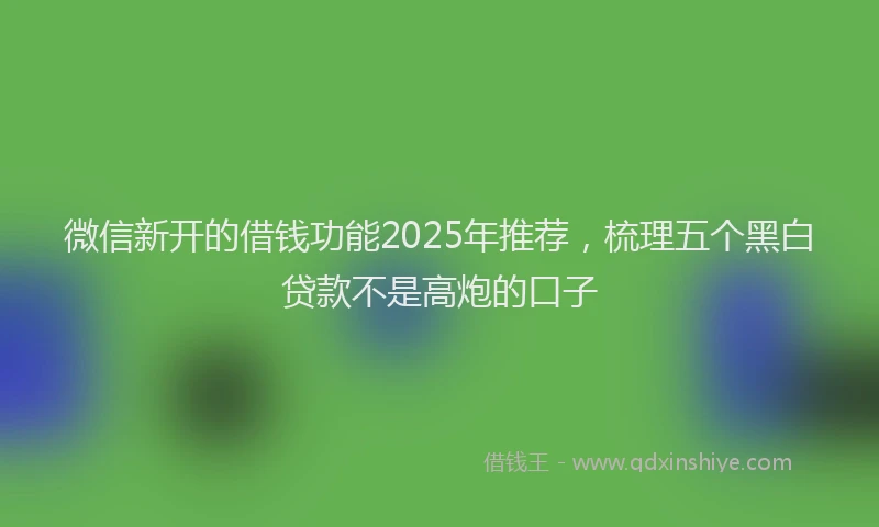微信新开的借钱功能2025年推荐，梳理五个黑白贷款不是高炮的口子