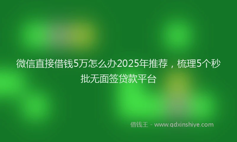 微信直接借钱5万怎么办2025年推荐，梳理5个秒批无面签贷款平台