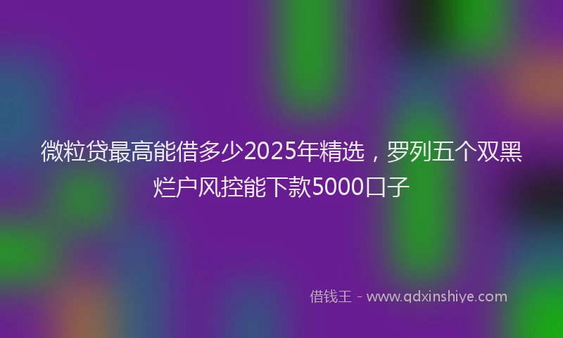 微粒贷最高能借多少2025年精选，罗列五个双黑烂户风控能下款5000口子