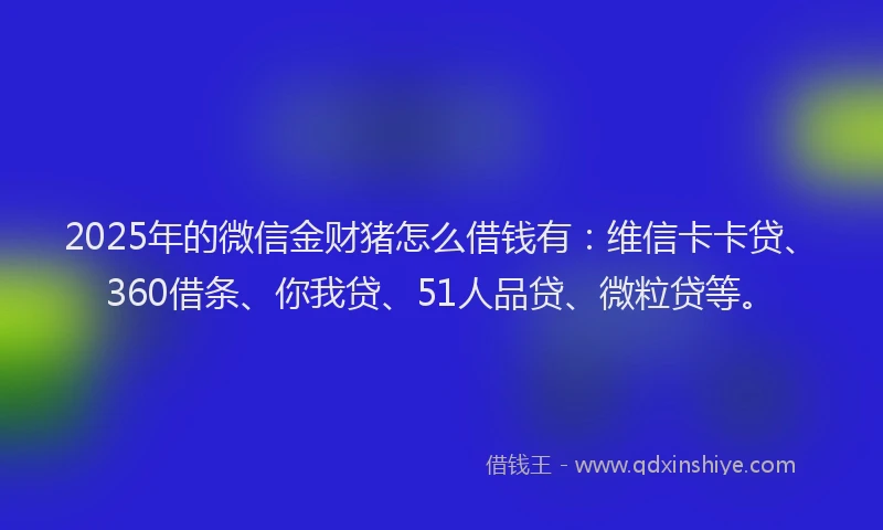 2025年的微信金财猪怎么借钱有：维信卡卡贷、360借条、你我贷、51人品贷、微粒贷等。