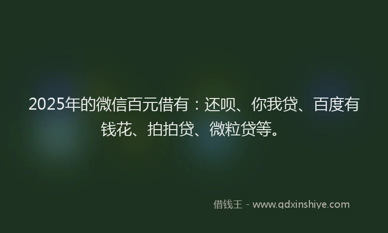 2025年的微信百元借有：还呗、你我贷、百度有钱花、拍拍贷、微粒贷等。