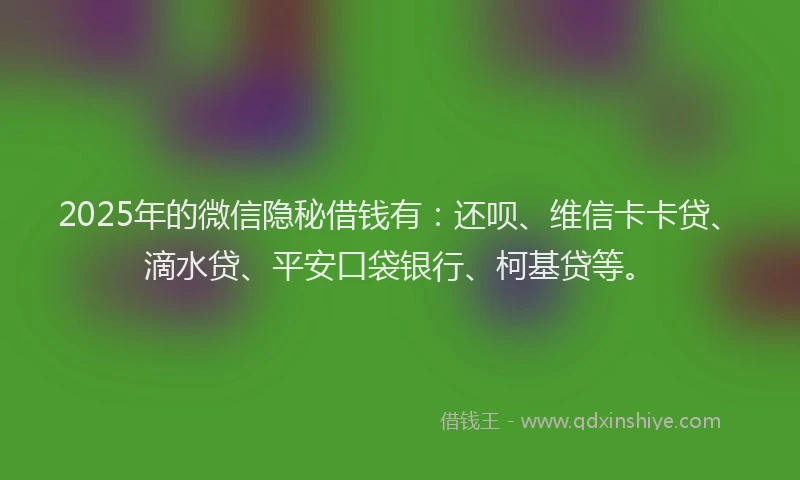 2025年的微信隐秘借钱有：还呗、维信卡卡贷、滴水贷、平安口袋银行、柯基贷等。
