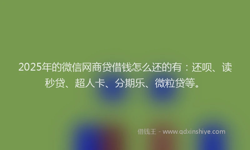 2025年的微信网商贷借钱怎么还的有：还呗、读秒贷、超人卡、分期乐、微粒贷等。
