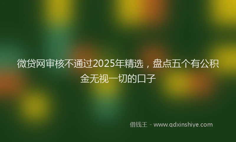 微贷网审核不通过2025年精选，盘点五个有公积金无视一切的口子