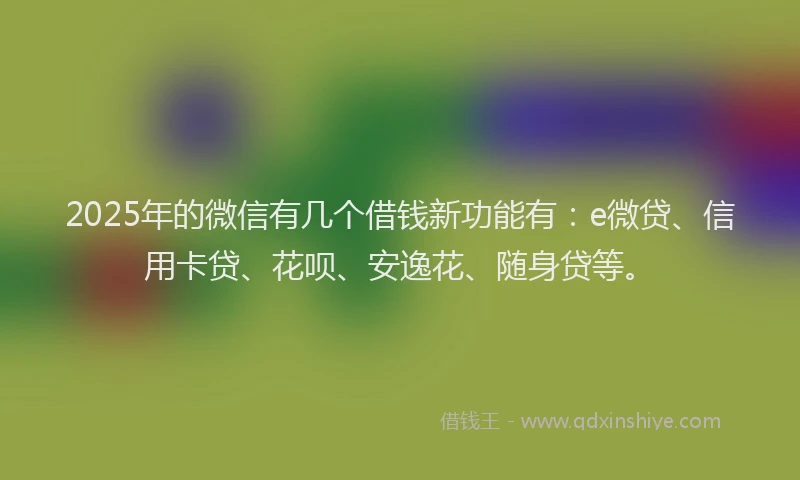 2025年的微信有几个借钱新功能有：e微贷、信用卡贷、花呗、安逸花、随身贷等。