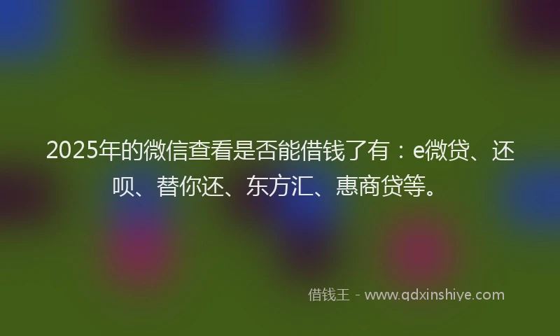 2025年的微信查看是否能借钱了有：e微贷、还呗、替你还、东方汇、惠商贷等。